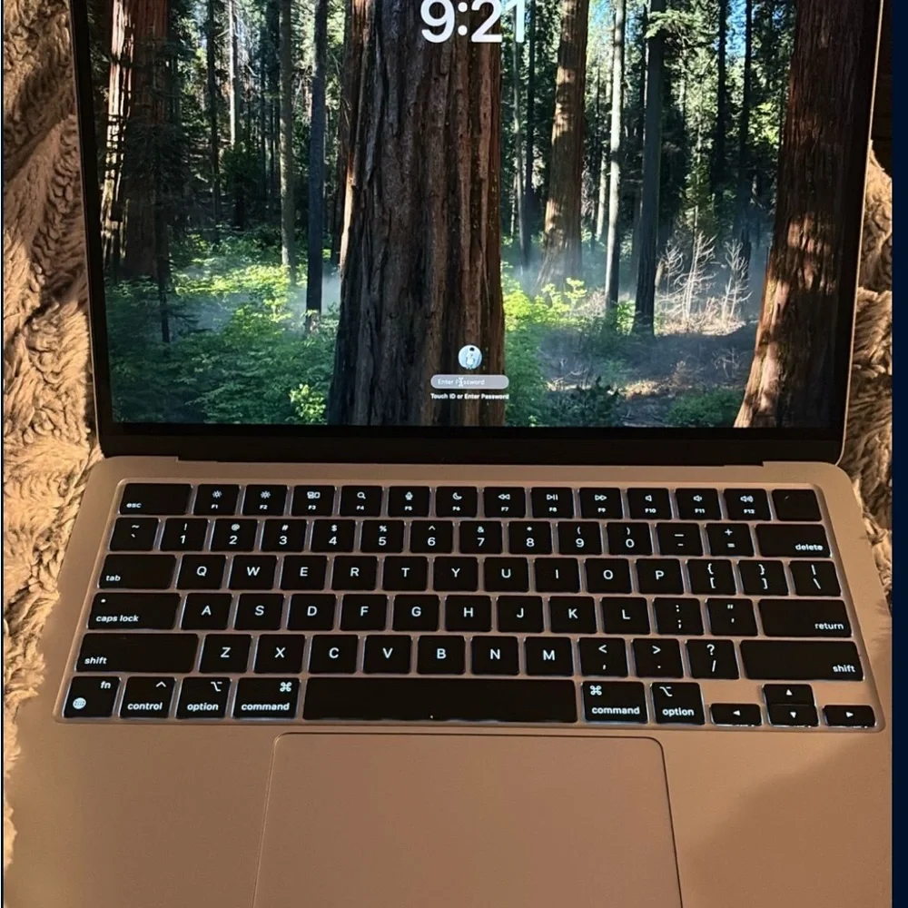 Apple Sleek Metallic Laptop
